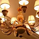 Bed & Breakfast Casa Delle Rose Venice Lido Venedigs Lido
